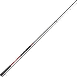 Canne à pêche spinning Daiwa Tournament SW AGS