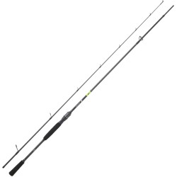 Canne Spinning Daiwa Prorex E