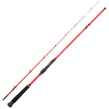 Canne Daiwa Sensor boat Squid