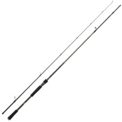 Canne Daiwa Prorex XR Spinning