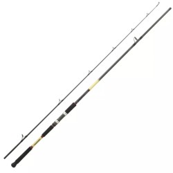 Canne Daiwa Grandwave Shore Jig 23