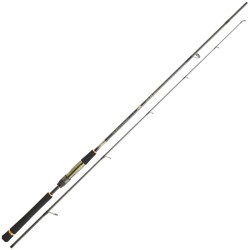Canne Spinning Daiwa Crosscast SW