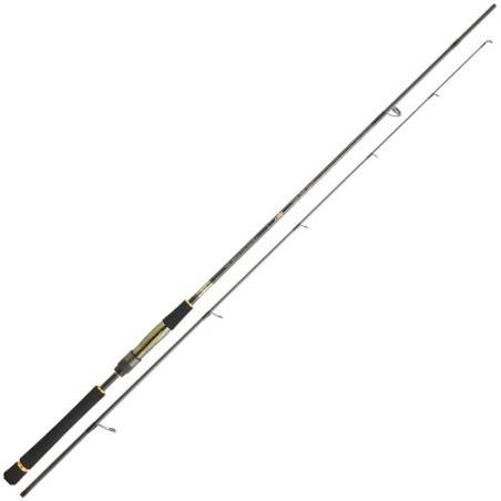 Canne Spinning Daiwa Crosscast SW