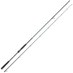 Canne spinning Daiwa Caldia Seabass