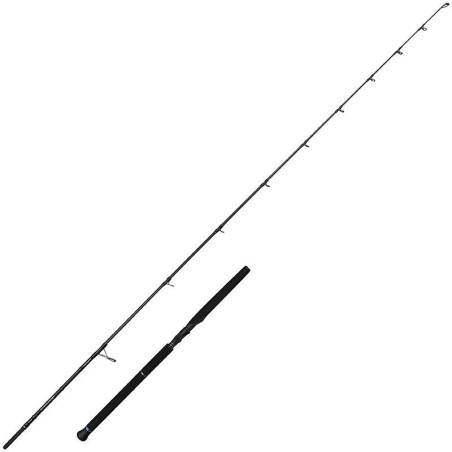 Canne spinning Savage Gear Defiance Sg2 Offshore Pélagic