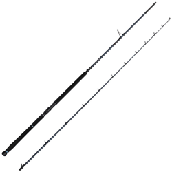 Canne spinning Savage Gear Defiance Sg2 Shore jigging