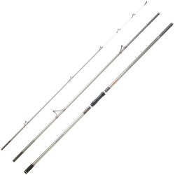Canne surf Daiwa Crosscast Surf