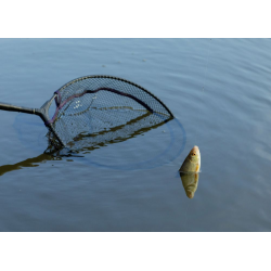Tête d'Epuisette Browning CK Competition Net 2