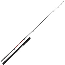 Canne traine Penn Warfare Light Trolling