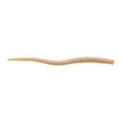 Leurre Souple Berkley Gulp! Isome Futomi 10 cm
