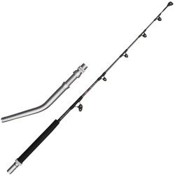Canne traine Penn Ally II Boat Conventional