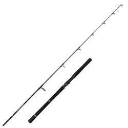 Canne spinning Penn Squadron IV Jigging spin