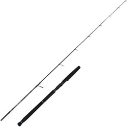 Canne spinning Savage Gear Defiance Sg2 Jigging