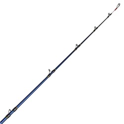 Premier élément canne DAIWA Tanacom boat 200G