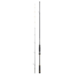 Canne Daiwa BG Tenya