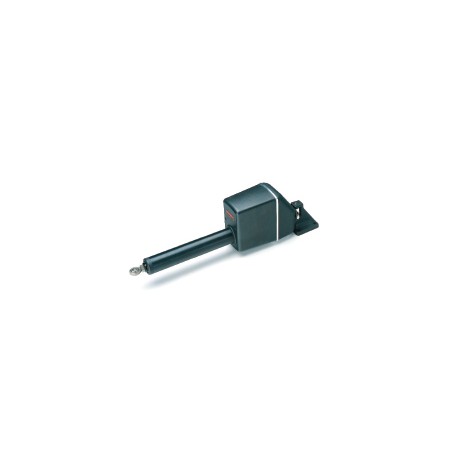 Pompe Raymarine mecanique lineaire