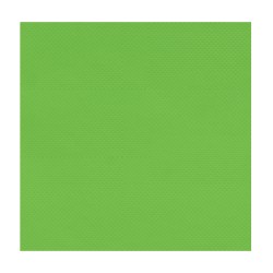 Plaque de PVC Paddle Kayak 50x50CM Vert