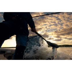 Moteur électrique bateau Minn Kota Traxxis 55 Maximizer Occasion 2