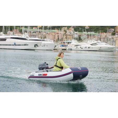 Moteur thermique Yamaha 4 CV