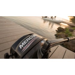 Moteur thermique Mercury 4 CV
