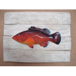 Sculpture Mérou de Corail sur Cadre