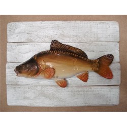 Sculpture Carpe Miroir sur Cadre