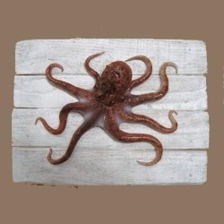 Sculpture Poulpe sur Cadre