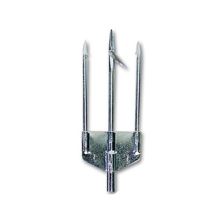 Trident Coralign Pro Duplex