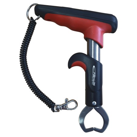 Peson électronique Epsealon