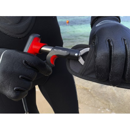 Peson électronique Epsealon