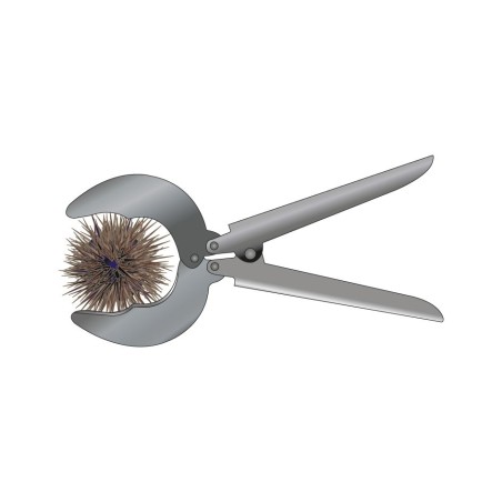 Pince à Oursin Flashmer Pro inox