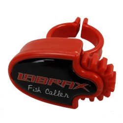 Call Fish Labrax