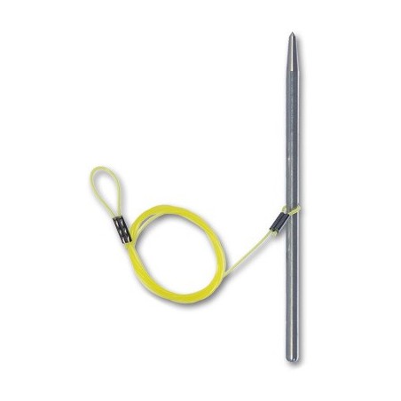 Accroche Poisson Coralign Pro