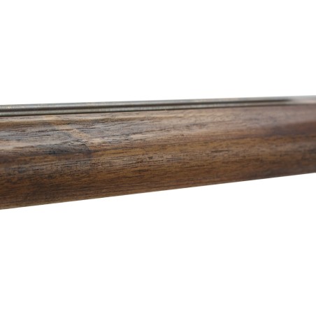 Arbalète fusil harpon bois chasse sous marine Deamon Teak Hydra CS - 95